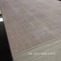 Björkplywood